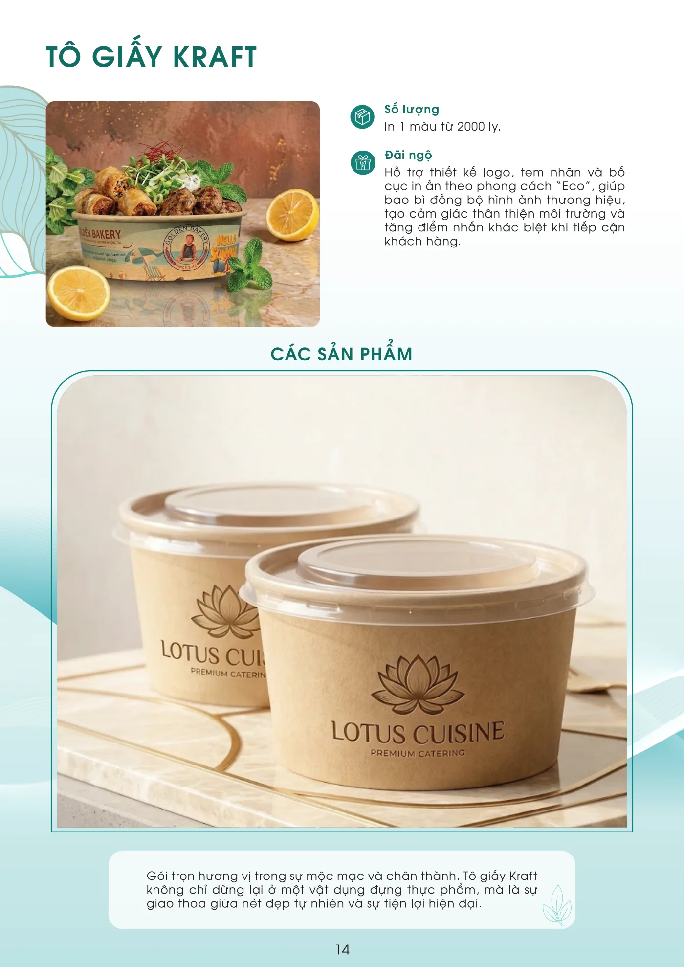 Portfolio trang 15