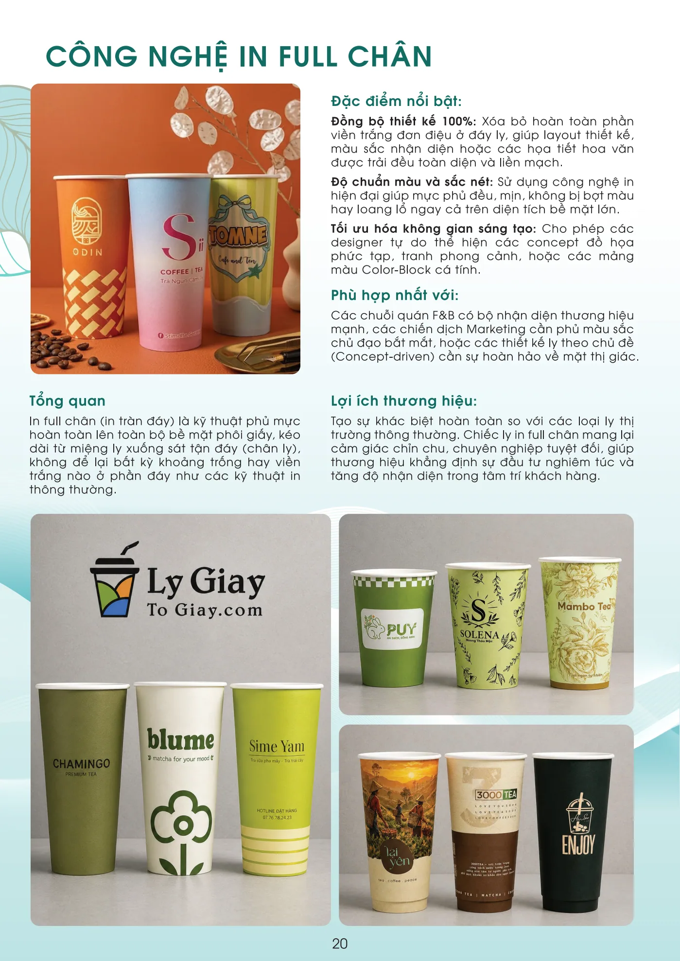 Portfolio trang 21
